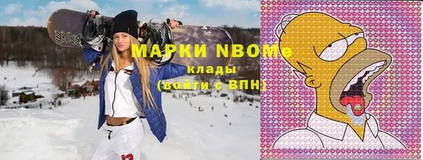 твердый Надым