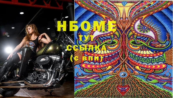 твердый Надым