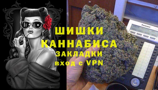 ПСИЛОЦИБИНОВЫЕ ГРИБЫ Вязьма