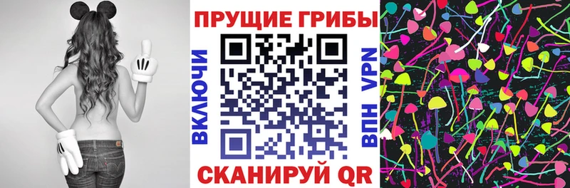 Галлюциногенные грибы прущие грибы  Куйбышев 
