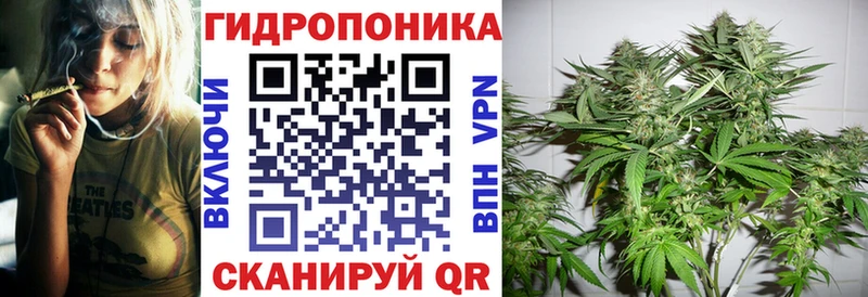 магазин продажи   Куйбышев  hydra как войти  Марихуана ГИДРОПОН 